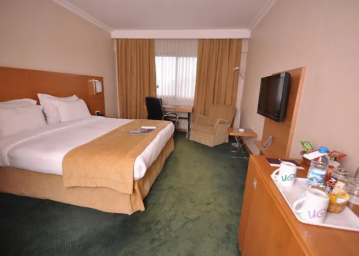 Anemon Ege بورنوفا